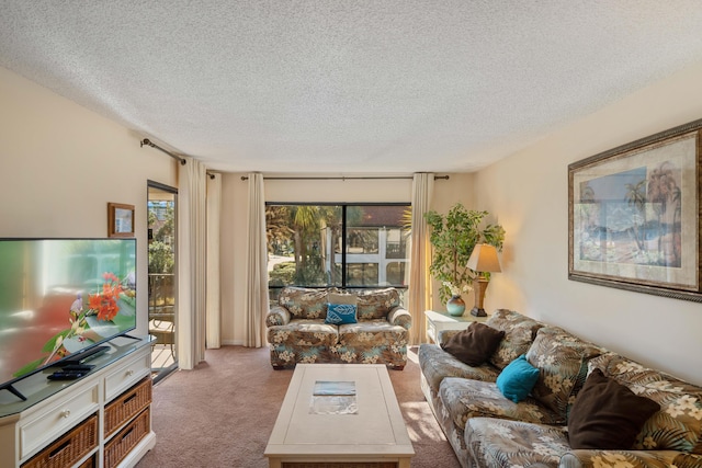 carpeted living room with a textured ceiling and a wealth of natural light