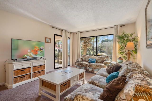 living room featuring carpet and a textured ceiling