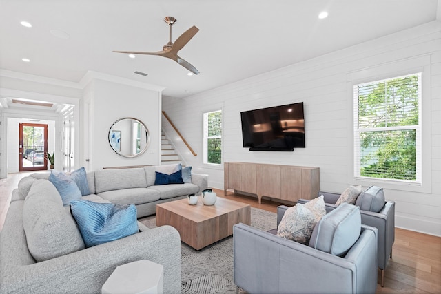 living room with light wood-type flooring, ceiling fan, and ornamental molding