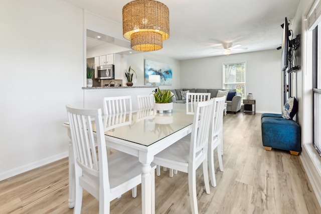 dining room featuring ceiling fan with notable chandelier and light hardwood / wood-style flooring