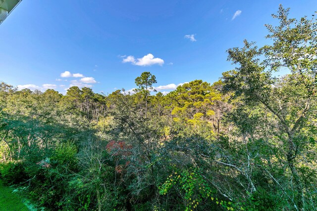 view of local wilderness