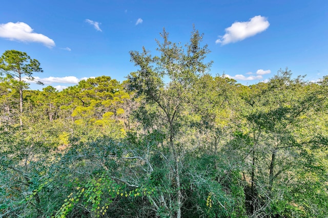 view of local wilderness