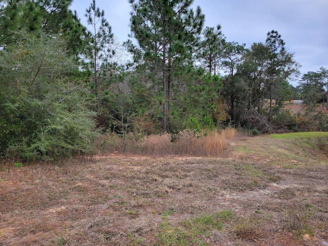 118 Tranquility Dr, Crestview FL, 32536 land for sale