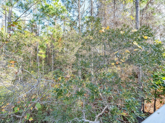 view of local wilderness