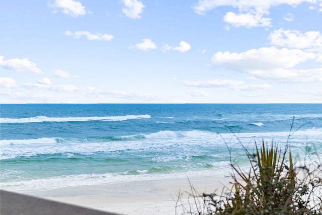 property view of water featuring a beach view