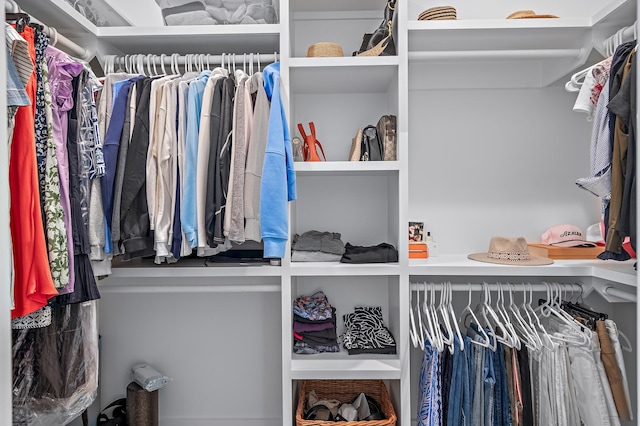 view of walk in closet