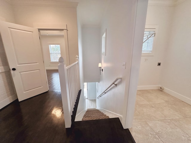 stairs featuring hardwood / wood-style flooring and ornamental molding