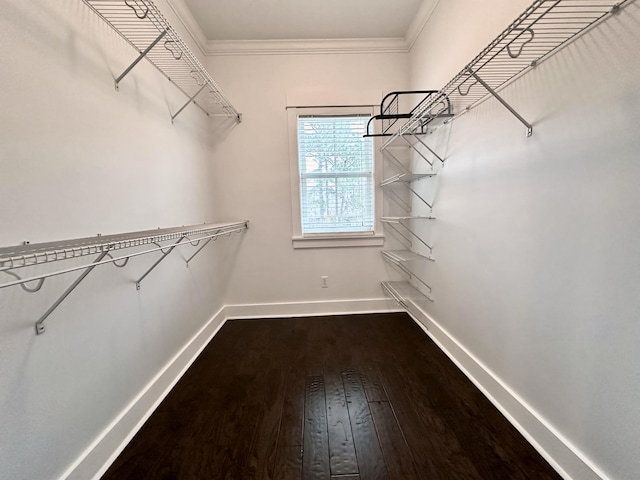 walk in closet featuring dark hardwood / wood-style floors