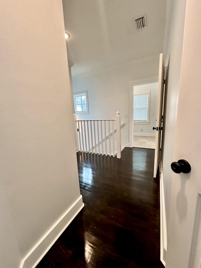 corridor featuring a wealth of natural light and dark wood-type flooring