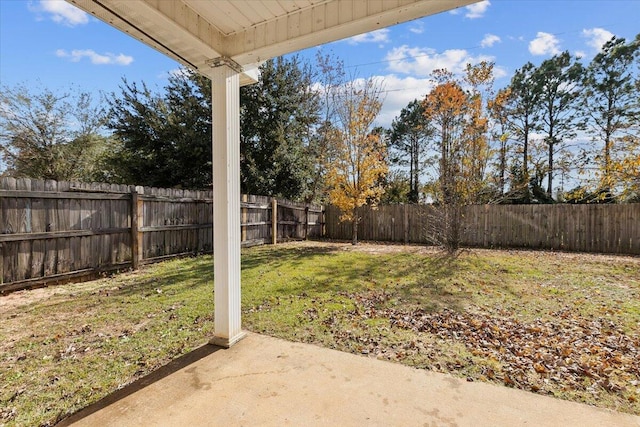 view of yard featuring a patio area