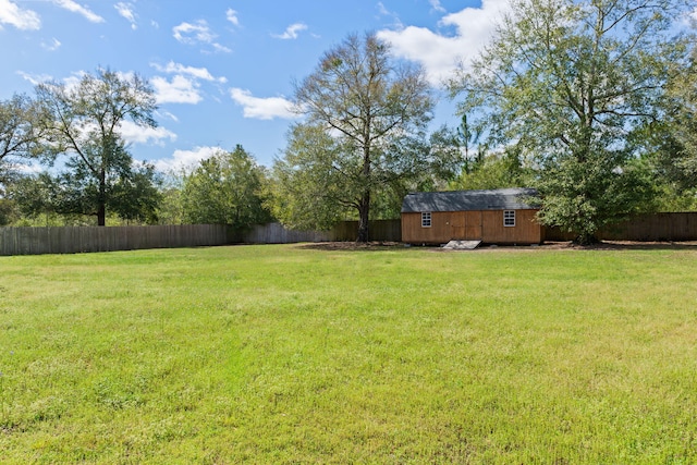 view of yard featuring a storage unit