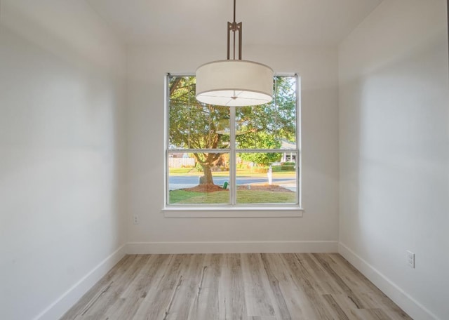 unfurnished dining area with light hardwood / wood-style flooring and plenty of natural light