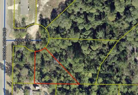 LOT5 Tulip Ln, Defuniak Springs, FL 32433