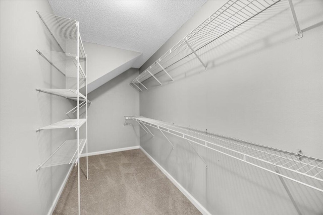 439 Northview Ln, Crestview, FL 32536 - walk in closet featuring carpet flooring