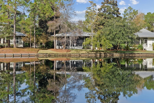 dock area with a water view