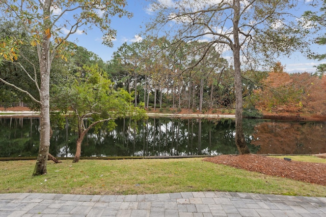 view of water feature