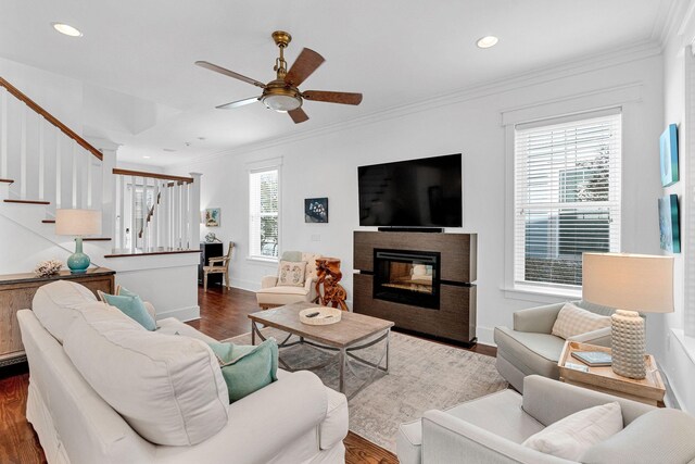 living room with dark hardwood / wood-style floors, ceiling fan, and ornamental molding