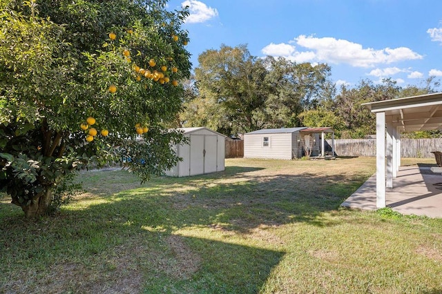 view of yard featuring a patio area and a storage shed