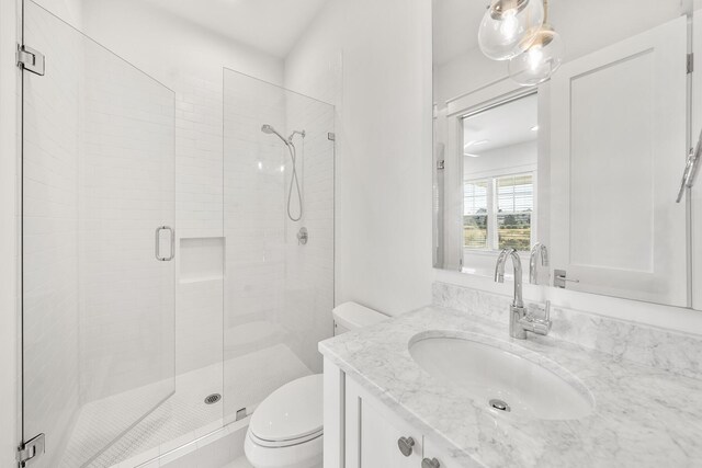 bathroom featuring vanity, toilet, and walk in shower