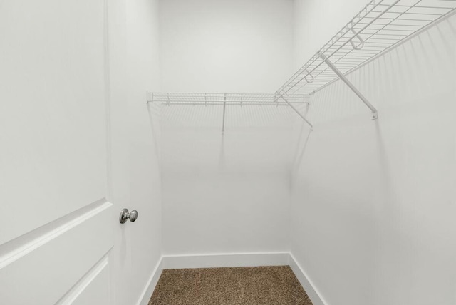 walk in closet featuring carpet flooring