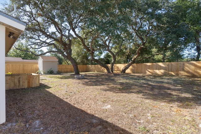 view of yard with a storage unit