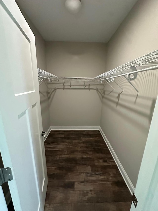 238 Partridge Ln, Freeport, FL 32439 - walk in closet featuring dark wood-style flooring