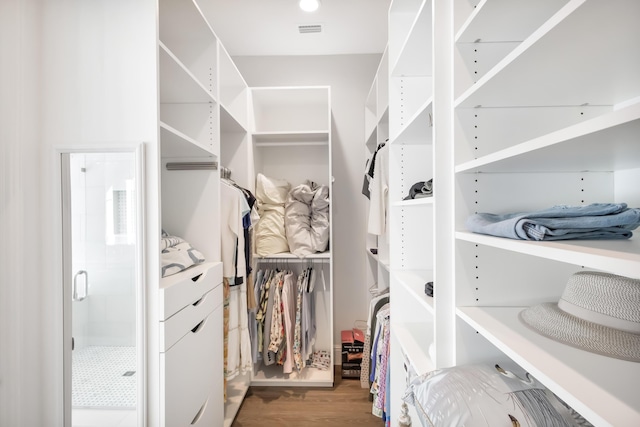 spacious closet featuring wood-type flooring