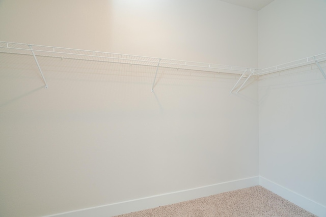 walk in closet with carpet