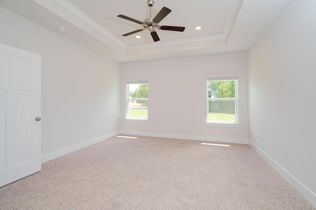 spare room with carpet, ceiling fan, a healthy amount of sunlight, and a tray ceiling