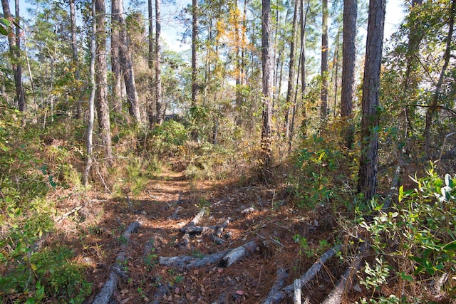 Listing photo 3 for TBD Pepper Tree Rd, Santa Rosa Beach FL 32459