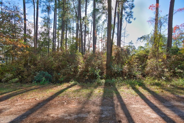 TBD Pepper Tree Rd, Santa Rosa Beach FL, 32459 land for sale