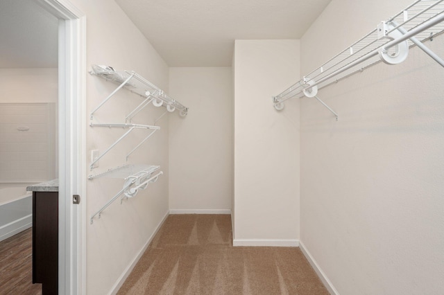 spacious closet featuring carpet flooring