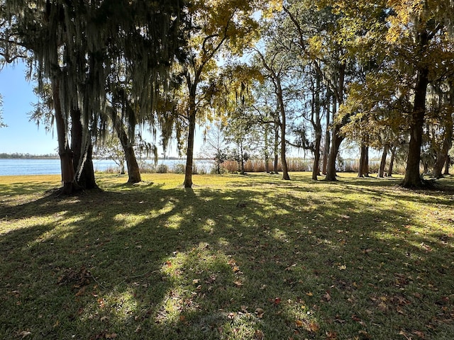 view of yard featuring a water view