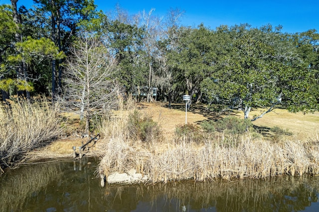 view of landscape featuring a water view