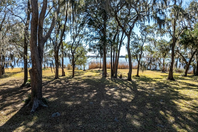 view of yard with a water view