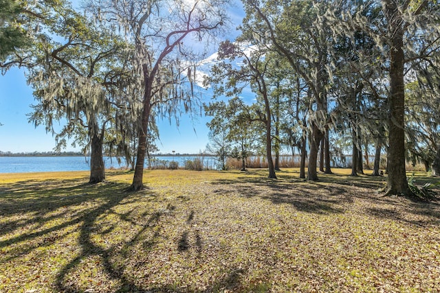 view of yard featuring a water view