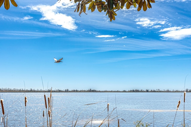 water view