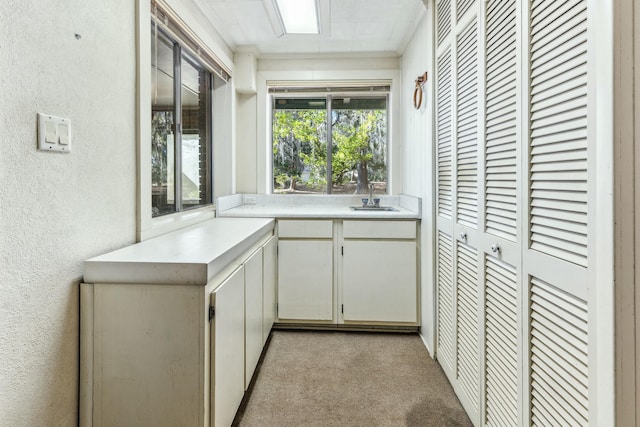 kitchen featuring light carpet and sink