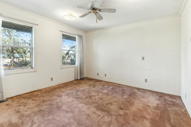 carpeted empty room featuring plenty of natural light, ornamental molding, and a textured ceiling