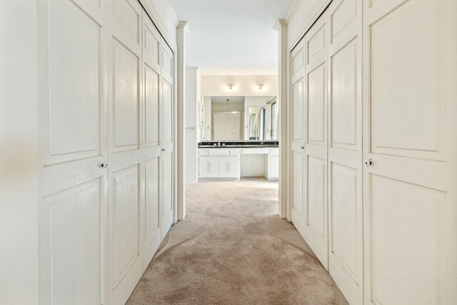 hallway with crown molding, light carpet, and a textured ceiling