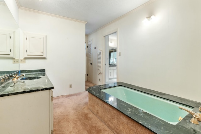 bathroom featuring vanity, ornamental molding, and a tub