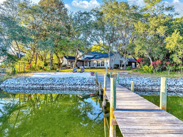 dock area with a water view