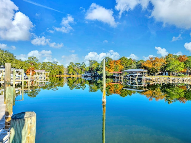 property view of water with a dock