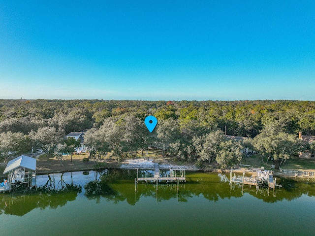 bird's eye view with a water view