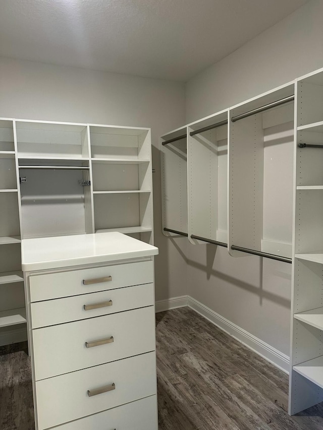 spacious closet with dark hardwood / wood-style floors