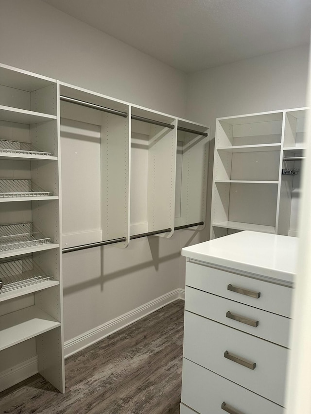 walk in closet with dark hardwood / wood-style floors