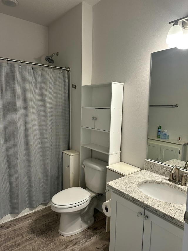 bathroom featuring toilet, vanity, wood-type flooring, and a shower with shower curtain