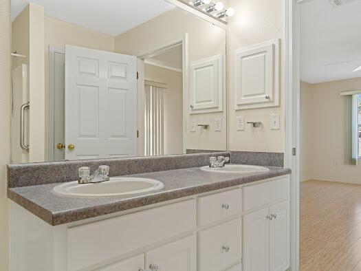 bathroom with hardwood / wood-style floors and vanity