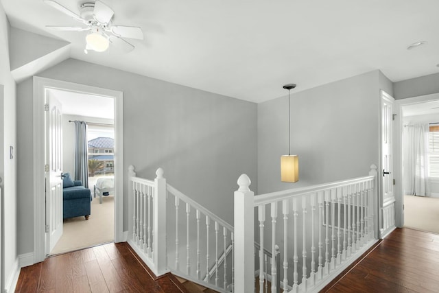 hallway with dark hardwood / wood-style floors