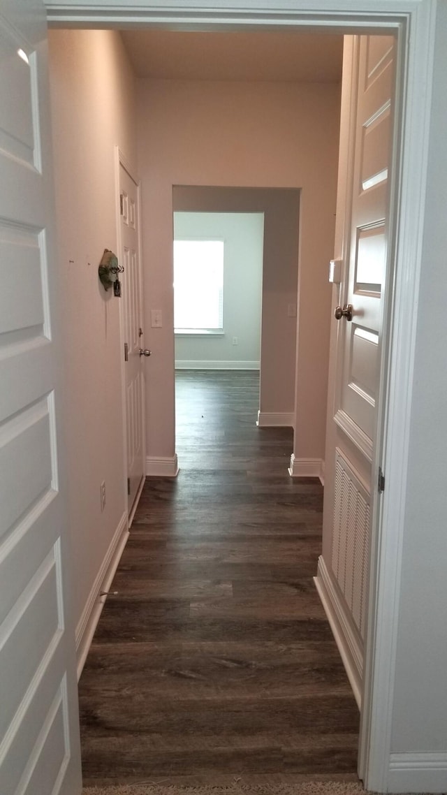 hallway featuring dark wood-type flooring